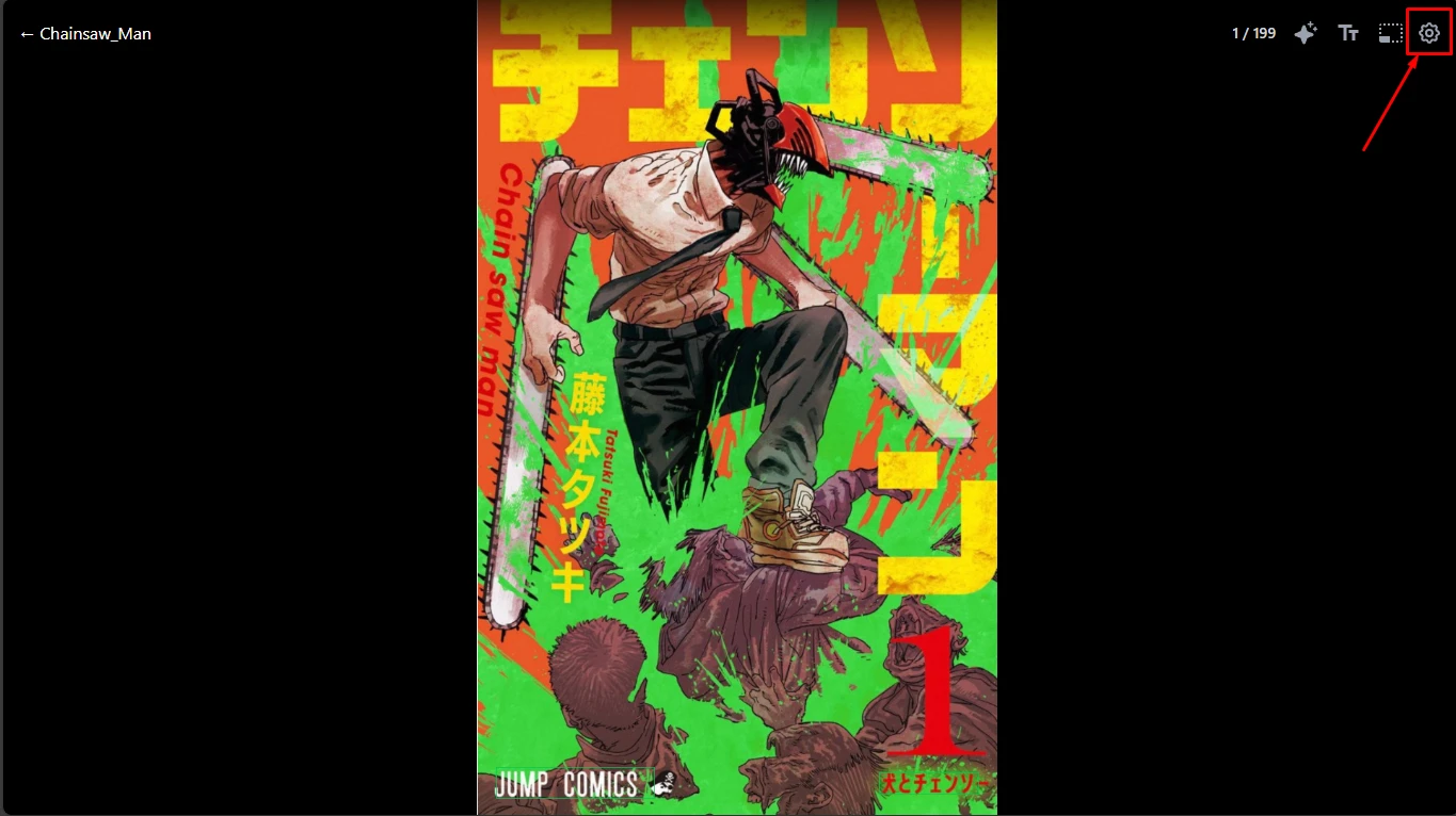 The main reader settings panel